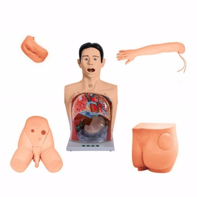  豪華型基礎(chǔ)護理模型